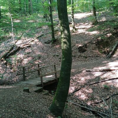 Bild vergr&ouml;&szlig;ern: Wunderschöne Landschaft
