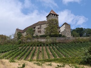 Burg Lichtenberg