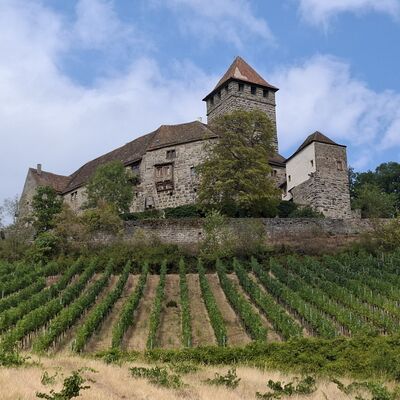 Bild vergr&ouml;&szlig;ern: Burg Lichtenberg