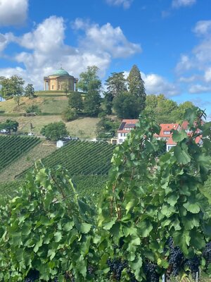 Weinberge mit Blick zur Grabkapelle
