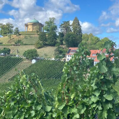 Bild vergr&ouml;&szlig;ern: Weinberge mit Blick zur Grabkapelle