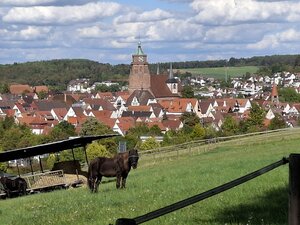 Blick auf Weil der Stadt