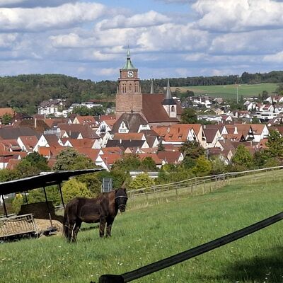 Bild vergr&ouml;&szlig;ern: Blick auf Weil der Stadt
