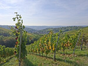 Blick Richtung Uhlbach