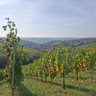 Bild vergr&ouml;&szlig;ern: Blick Richtung Uhlbach