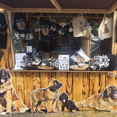 Bild vergr&ouml;&szlig;ern: Stadtmarketing beim Glemseck