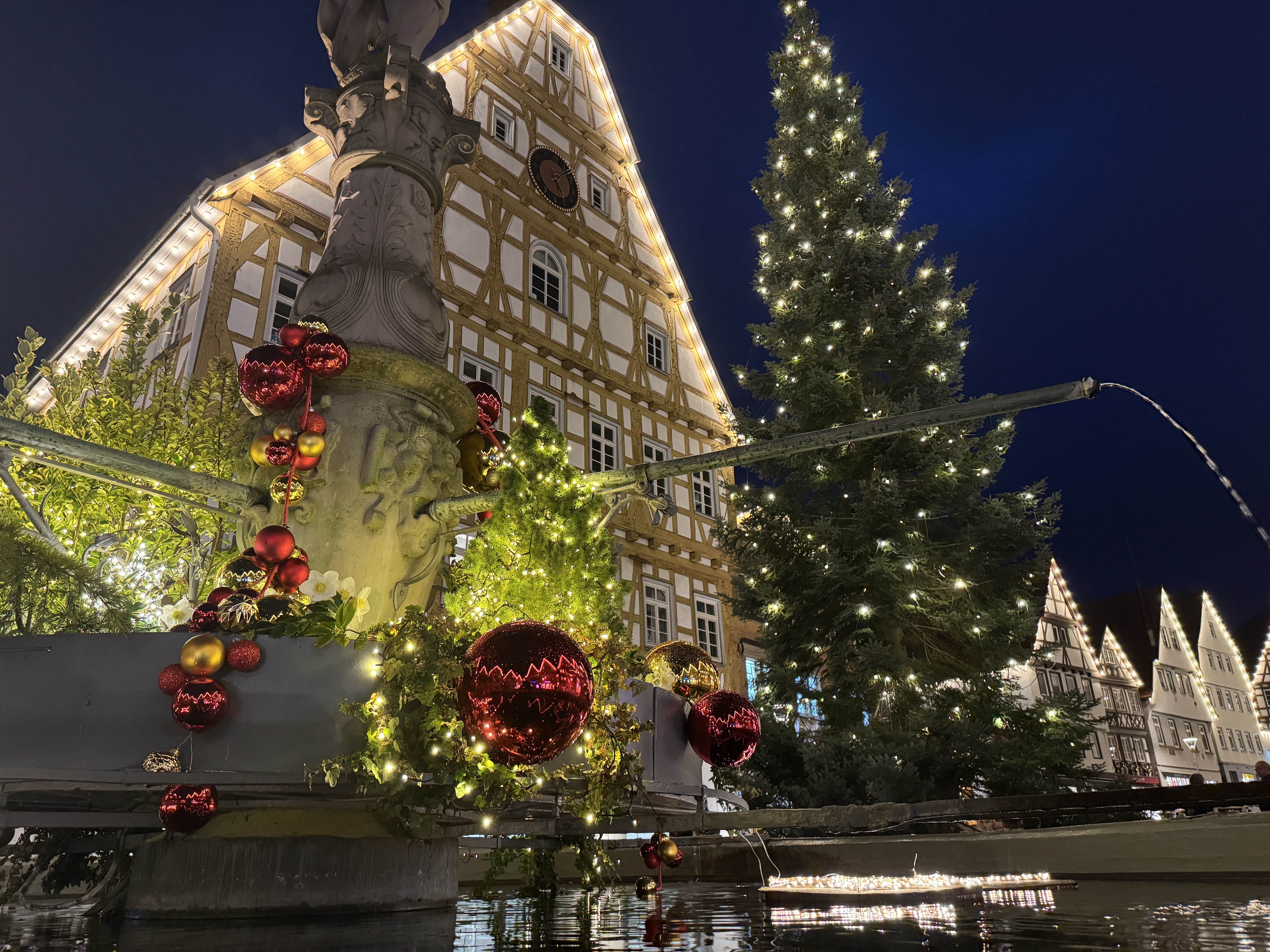 Bild vergr&ouml;&szlig;ern: 1_Anmeldung zum Adventsdörfle_LF