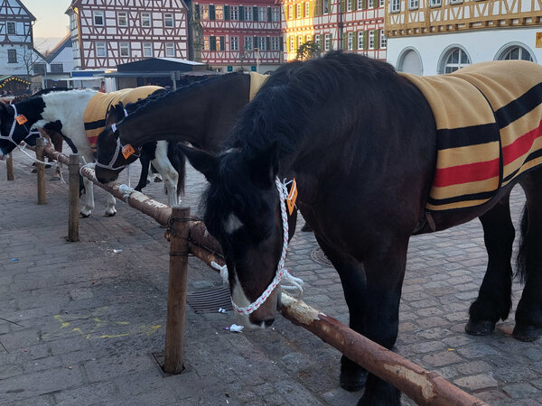 "Pferdemarkt" - Souvenirs