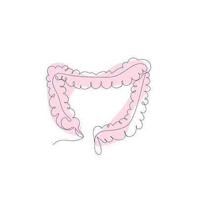 Bild vergr&ouml;&szlig;ern: Darmgesund essen