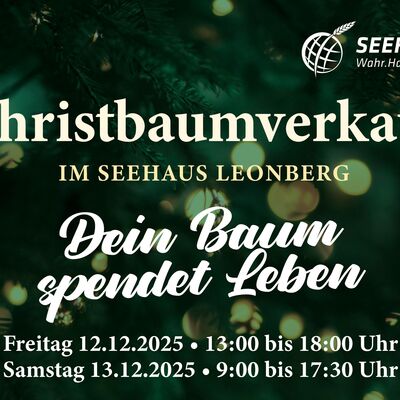 Bild vergr&ouml;&szlig;ern: Im Vordergrund steht der Schriftzug "Christbaumverkauf im Seehaus Leonberg". Im Hintergrund sind Tannennadeln und Lichter zu sehen.